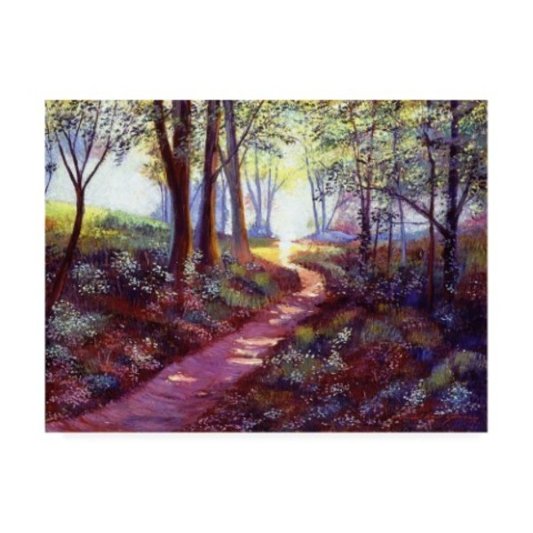 Trademark Fine Art David Lloyd Glover 'Pathway Into The Light' Canvas Art, 35x47 DLG00970-C3547GG